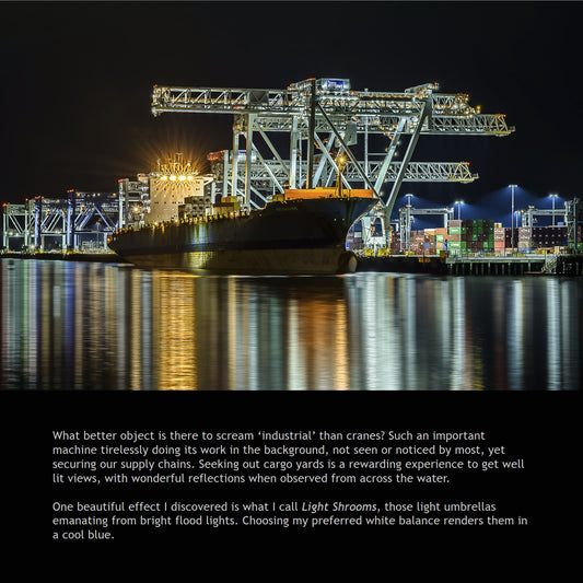 Photo Book: Industrial Beauty